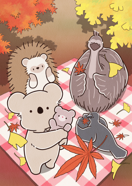 Koala’s Diary